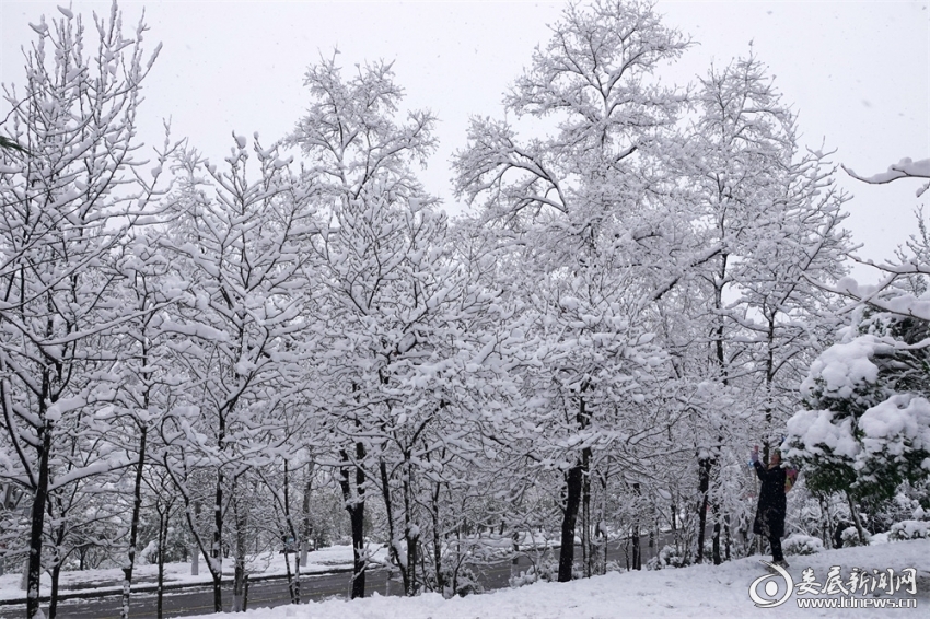 1.冰雪世界